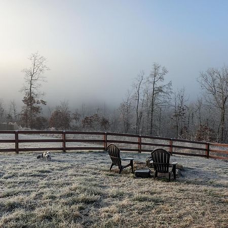 Great Little Guest Suite With Private Entry & Deck! Pet Friendly & 30 Mins To Nashville! Ashland City Esterno foto