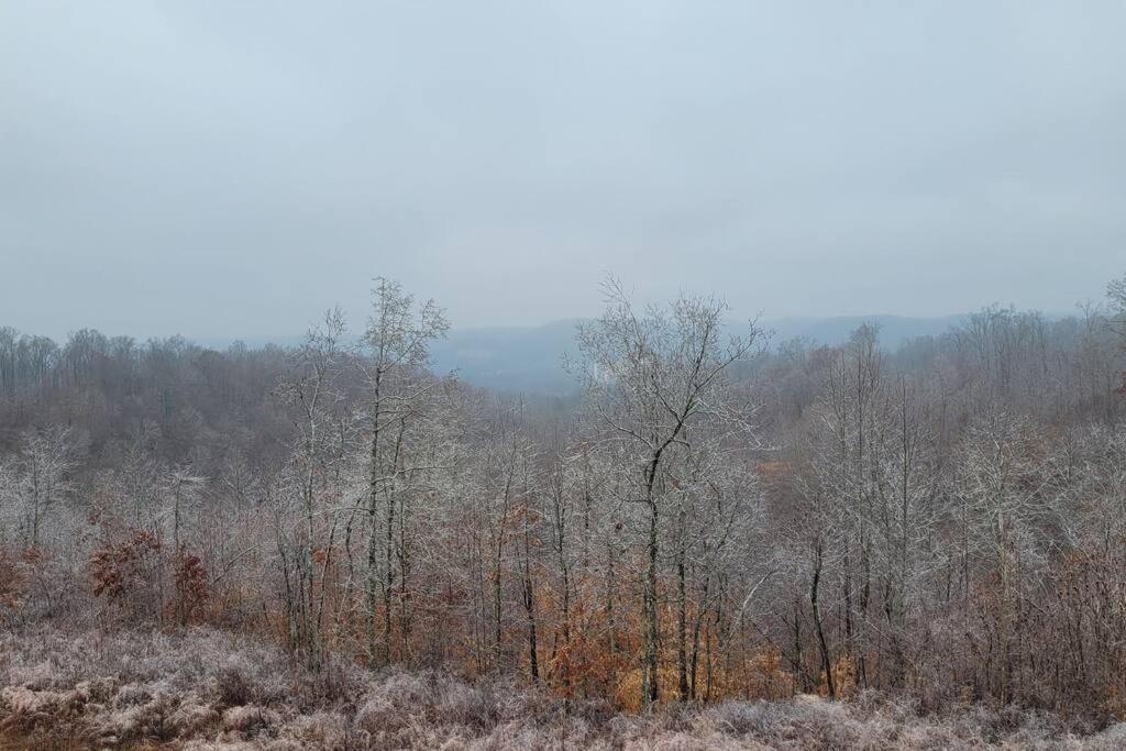 Great Little Guest Suite With Private Entry & Deck! Pet Friendly & 30 Mins To Nashville! Ashland City Esterno foto