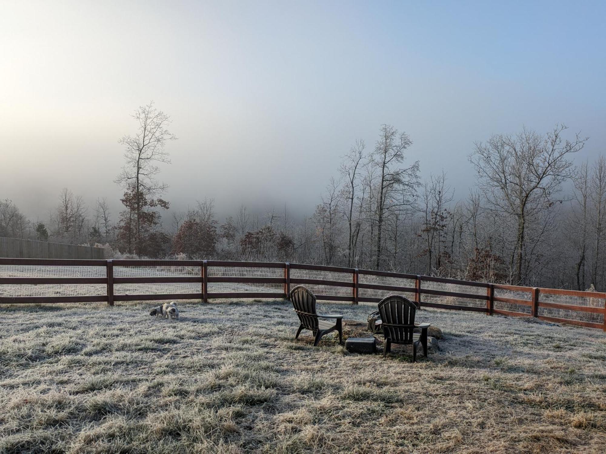 Great Little Guest Suite With Private Entry & Deck! Pet Friendly & 30 Mins To Nashville! Ashland City Esterno foto