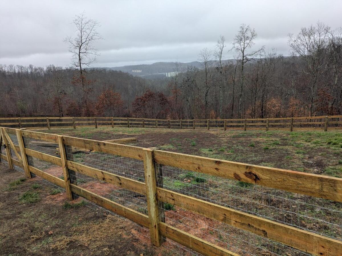 Great Little Guest Suite With Private Entry & Deck! Pet Friendly & 30 Mins To Nashville! Ashland City Esterno foto
