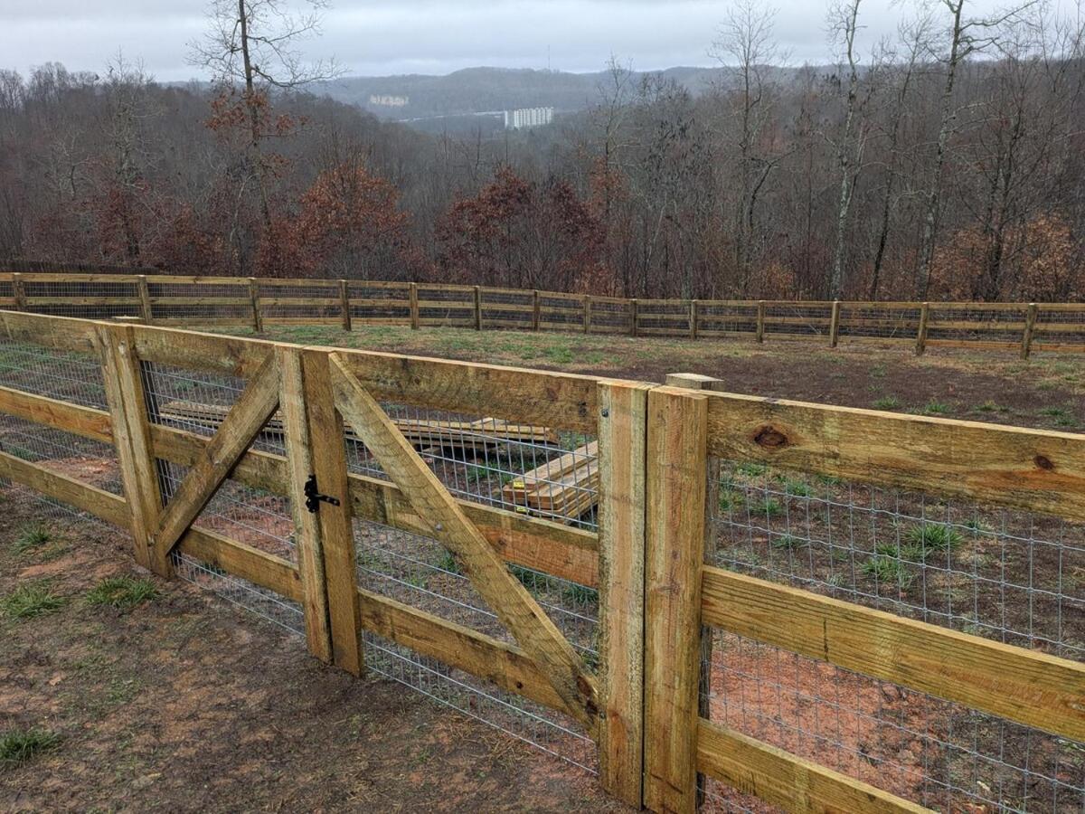 Great Little Guest Suite With Private Entry & Deck! Pet Friendly & 30 Mins To Nashville! Ashland City Esterno foto
